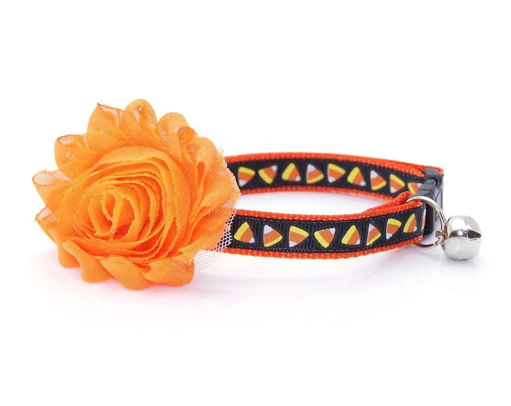 Pet Collar - Trick or Treat - Candy Corn