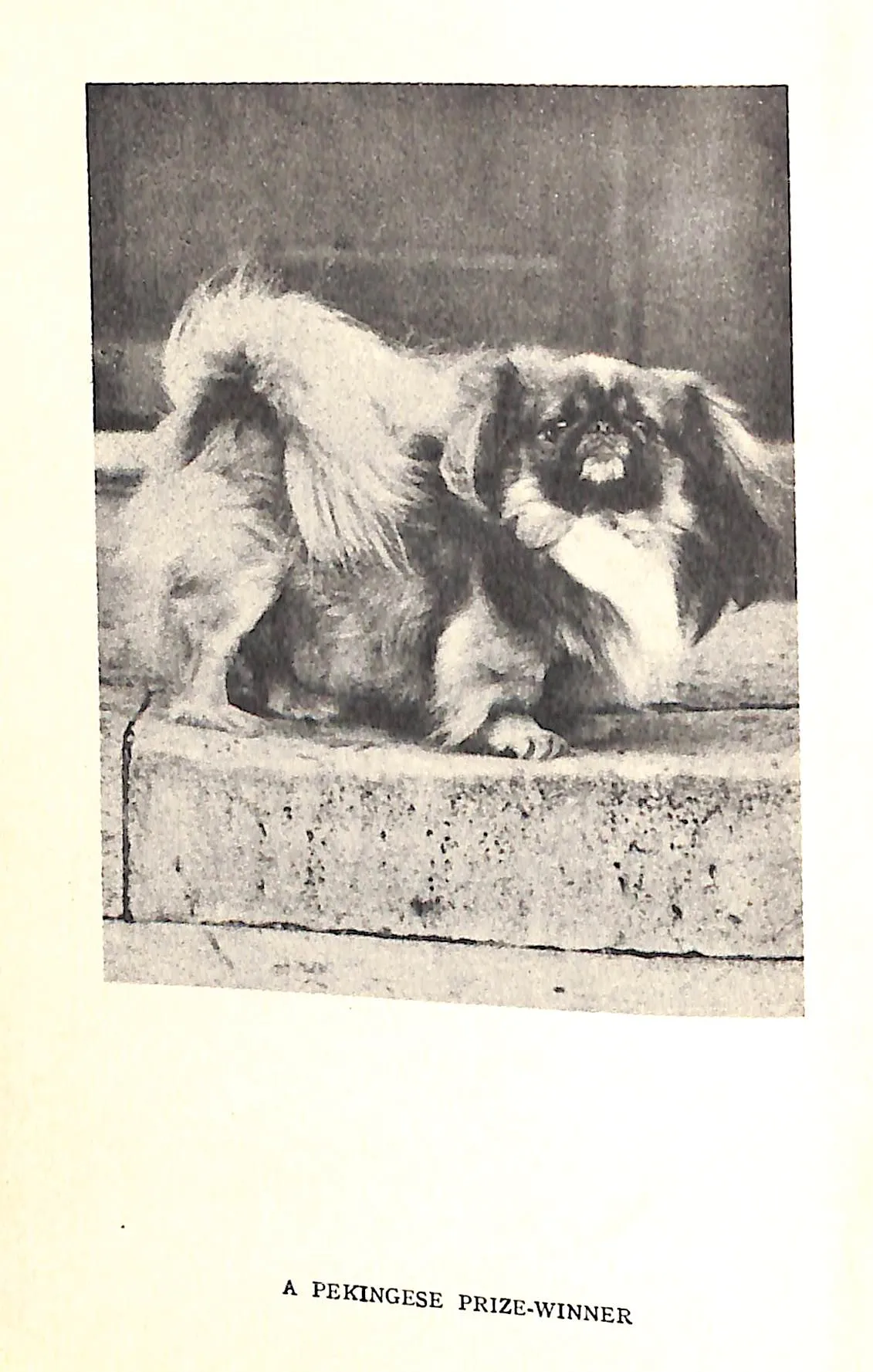 "Our Friend The Pekingese" 1933 JOHNS, Rowland [edited by] (SOLD)