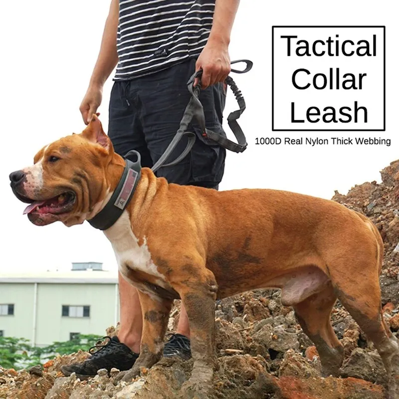 Tactical Dog Collar Leash Set